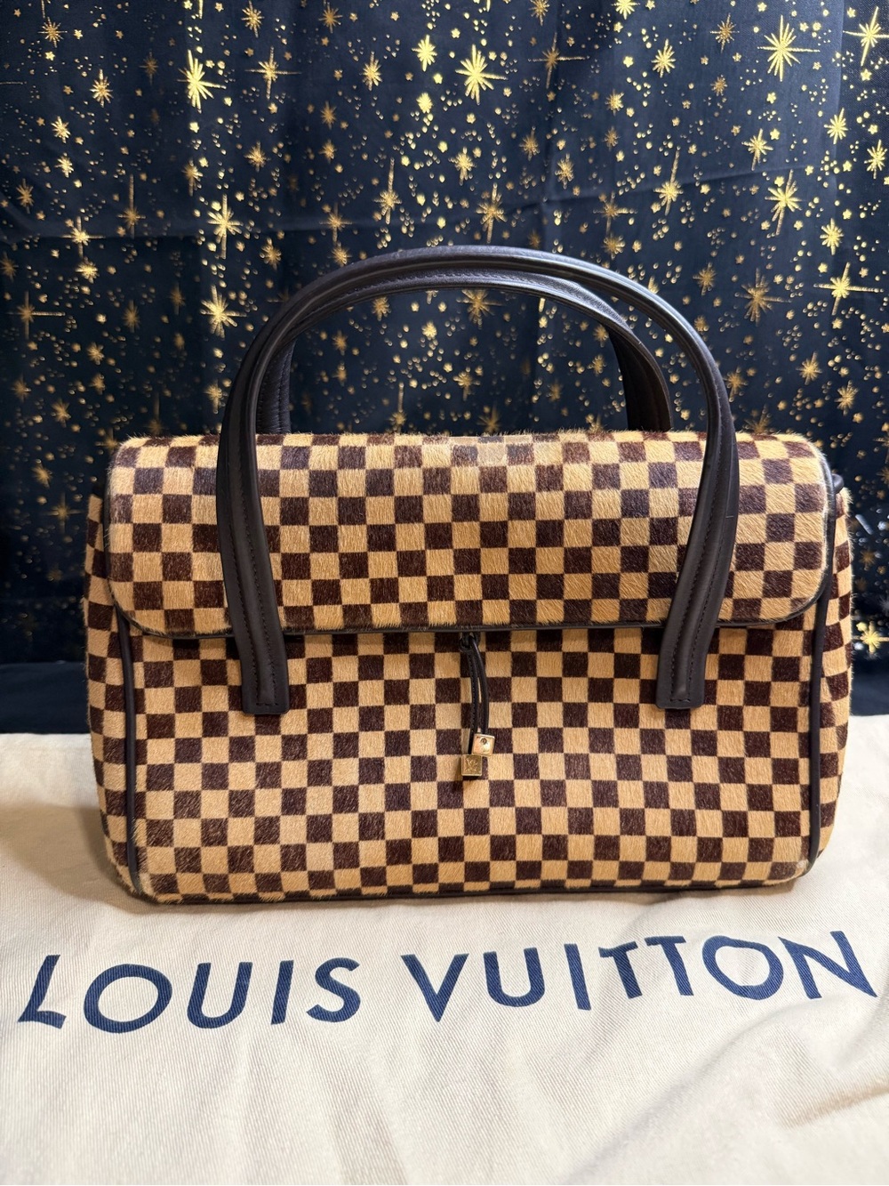 Louis Vuitton Ponyhair Damier Sauvage Lionne Handbag